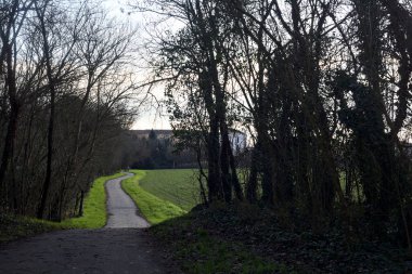 Paved trail next to a field framed by trees and a path in a shady grove in the italian countryside