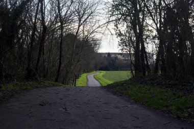 Paved trail next to a field framed by trees and a path in a shady grove in the italian countryside