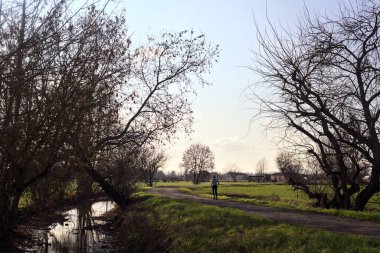 Paved path bordered by a stream of water and a row of trees on a sunny day in the italian countryside i winter