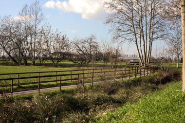Paved trail bordered by a wooden rail with a tree next to a field on a sunny day in the italian countryside in winter