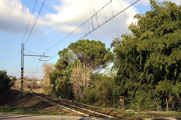 Railroad crossing in a grove in the italian countryside