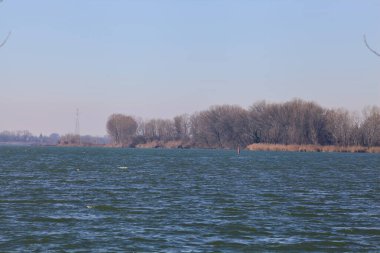 Buoy on a lake with a forest on the horizon on a sunny and windy day