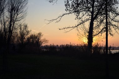 Lakeshore with trees and plants in winter at sunset