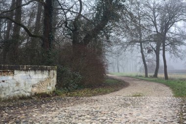 Small footbridge and a gravel path on a foggy day in a park