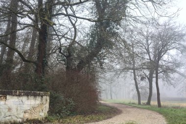 Small footbridge and a gravel path on a foggy day in a park