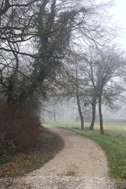 Small footbridge and a gravel path on a foggy day in a park