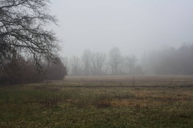 Open space in a park with trees in the distance on a foggy day in winter