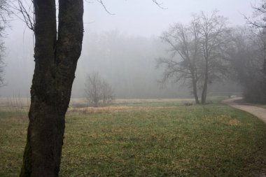 Small footbridge and a gravel path on a foggy day in a park