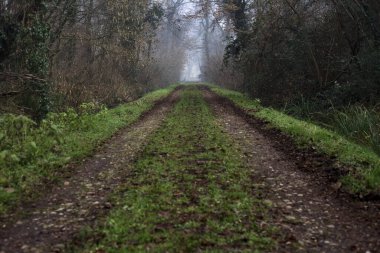 Dirt trail bordered by a stream of water in a park on a foggy day in winter