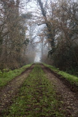 Dirt trail bordered by a stream of water in a park on a foggy day in winter