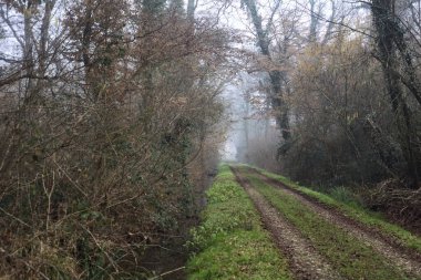 Dirt trail bordered by a stream of water in a park on a foggy day in winter