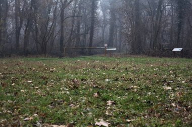 Open space with trails starting from it in a park on foggy day