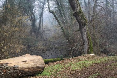 Stream of water bordered by trees seen from a footbridge in a park on a misty day in winter