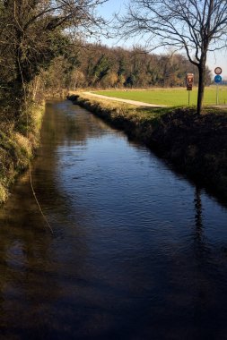 Stream of water bordered by a forest next to a cultivated field on a sunny day in winter in the italian countryside