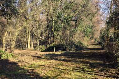 Intersection between trails in a park on a winter day in the italian countryside