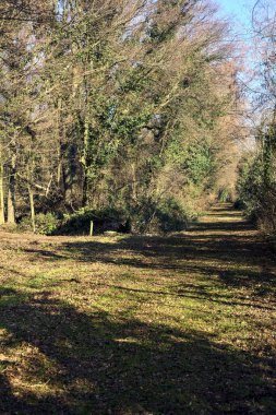 Intersection between trails in a park on a winter day in the italian countryside
