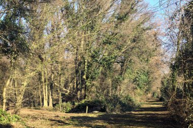 Intersection between trails in a park on a winter day in the italian countryside