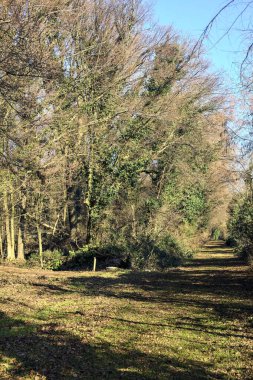 Intersection between trails in a park on a winter day in the italian countryside