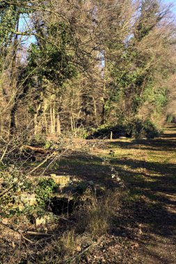Crossing between trail in a park over an old brick footbridge next to a tiny dry channel in a forest on a winter day