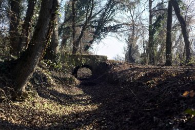 Crossing between trail in a park over an old brick footbridge next to a tiny dry channel in a forest on a winter day