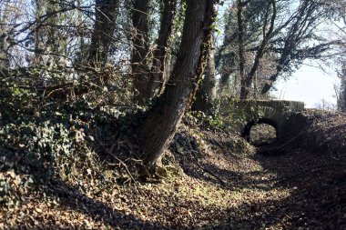 Crossing between trail in a park over an old brick footbridge next to a tiny dry channel in a forest on a winter day