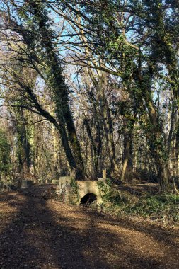 Crossing between trail in a park over an old brick footbridge next to a tiny dry channel in a forest on a winter day