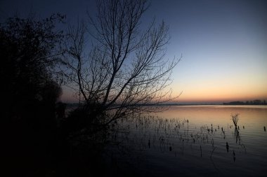 Lake at sunset with trees and the sky casted in the water