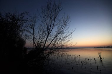 Lake at sunset with trees and the sky casted in the water