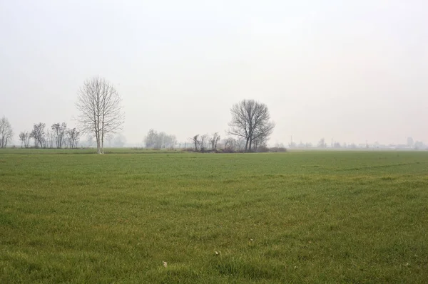 冬日里 意大利乡间一片多云的田野 长满了树木和树林 — 图库照片