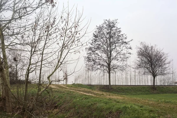 stock image Irrigation channel with trees between fields on a cloudy day in the italian countryside