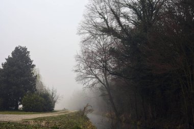 İtalya kırsalında sisli bir günde çamurlu bir yolun yanındaki bir ormanın sınırındaki su akıntısı.