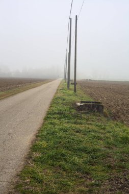 İtalya 'nın kışın kırsalında sisli bir günde ekili tarlalar arasında tahta direklerle ve başlık kablolarıyla çevrili yol.