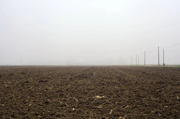 Fapóznákkal Fejkábelekkel Határolt Művelt Területek Között Egy Ködös Napon Olasz — Stock Fotó