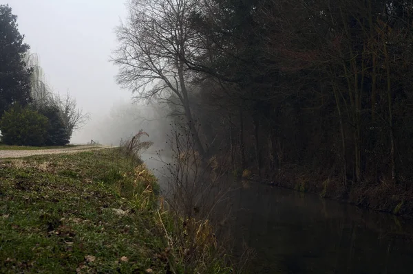 Stock image Stream of water that borders a forest next to a dirt path on a foggy day in the italian countryside