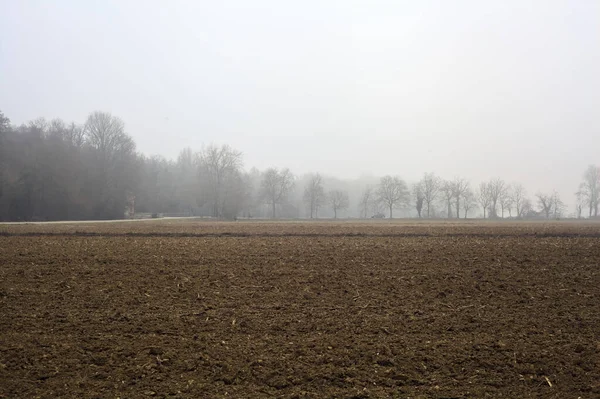 Kultiviertes Feld Mit Einer Straße Und Einem Wald Der Ferne — Stockfoto