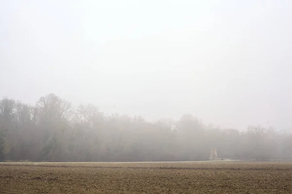 Культивируемое Поле Дорогой Лесом Вдали Туманный День Сельской Местности — стоковое фото