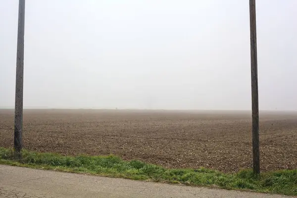 Kultiviertes Feld Einem Nebligen Tag Eingerahmt Von Hölzernen Pylonen — Stockfoto