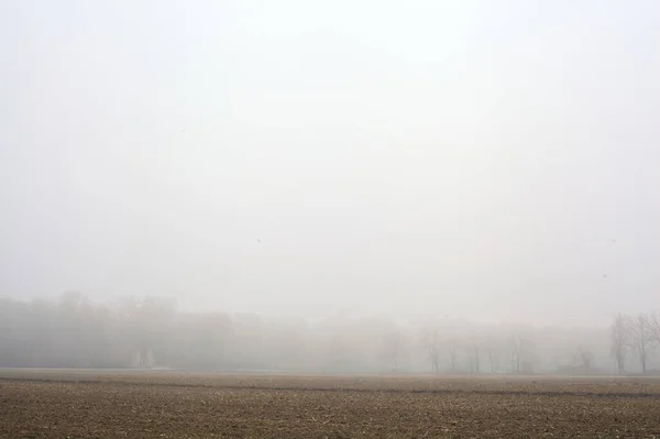Termesztett Mező Egy Egy Erdő Távolban Egy Ködös Napon Olasz — Stock Fotó