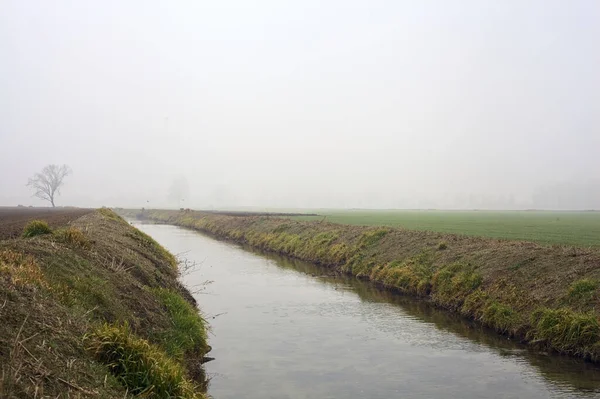 Stream Water Fields Trees Covered Fog Italian Countryside — Stock Photo, Image