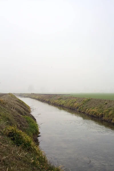 Поток Воды Между Полями Деревьями Покрытыми Туманом Итальянской Сельской Местности — стоковое фото