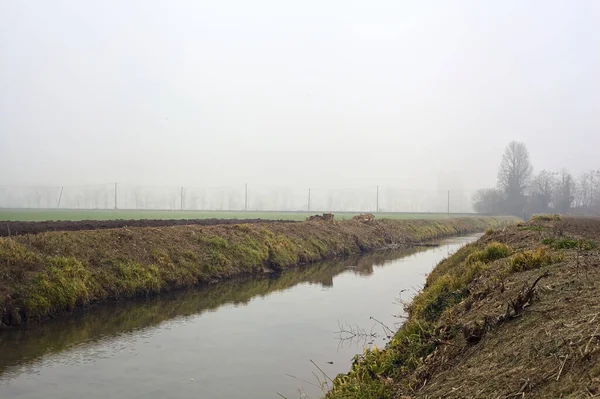 意大利乡间 水在被雾覆盖的树木覆盖的田野间奔流 — 图库照片