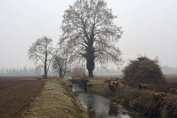 이탈리아 시골의 안개낀 그루와 다리로 연결되는 물줄기 — 스톡 사진