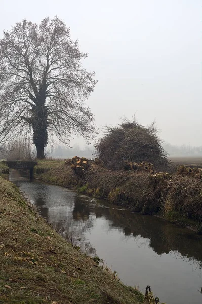 Stream of water that leads to a group of trees and a small bridge on a foggy day in the italian countryside