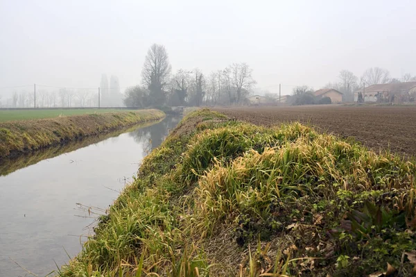 意大利乡间 水在被雾覆盖的树木覆盖的田野间奔流 — 图库照片