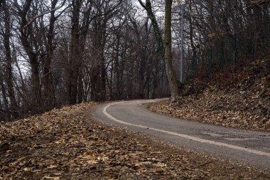 Kışın bulutlu bir günde, bir dağın eteklerinde çıplak ağaçlarla çevrili bir parkta dolambaçlı bir yol.