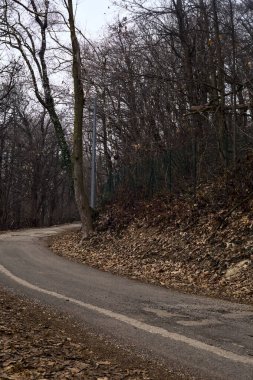 Kışın bulutlu bir günde, bir dağın eteklerinde çıplak ağaçlarla çevrili bir parkta dolambaçlı bir yol.