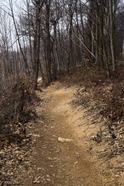 Kışın bulutlu bir günde dağın tepesindeki bir uçurumda dik ve kirli bir patika.