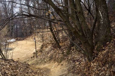 Kışın bulutlu bir günde dağın tepesindeki bir uçurumda dik ve kirli bir patika.