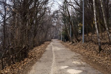 Kışın bulutlu bir günde, bir dağın eteklerinde çıplak ağaçlarla çevrili bir parkta dolambaçlı bir yol.