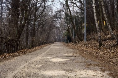 Kışın bulutlu bir günde, bir dağın eteklerinde çıplak ağaçlarla çevrili bir parkta dolambaçlı bir yol.